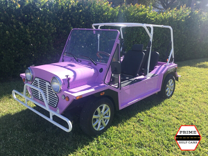 golf cart florida rentals, south florida golf carts, golf cart rental